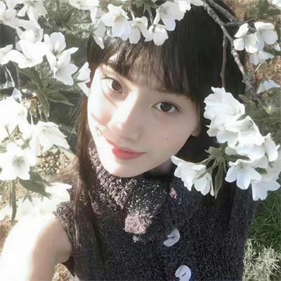 如懿传